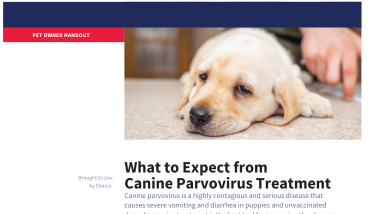 Pet owner expectations for parvovirus