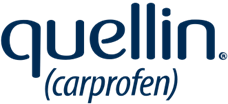 Quellin logo