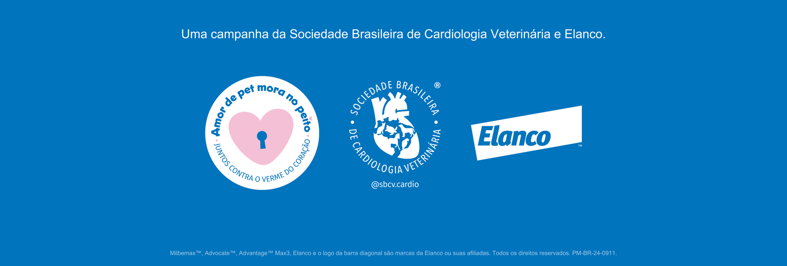 Viva sem diro Banner 2