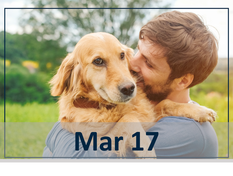 Optimizing Care for Brachycephalic Dogs with Respiratory and Aerodigestive Disorders March 17 webinar header