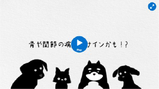 なんでだろう?