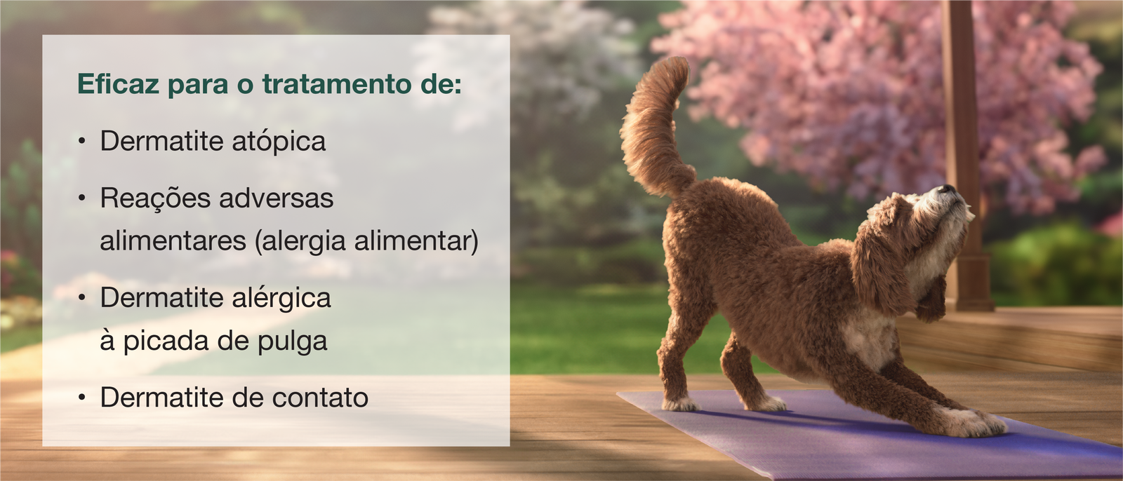 Zenrelia Tratamentos