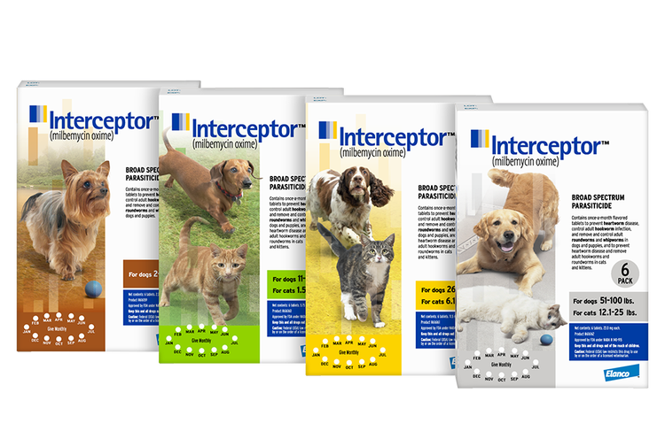 Four weight-coded boxes of Interceptor for dogs and cats. The packaging (orange, green, yellow, and blue) features images of cats and dogs together.