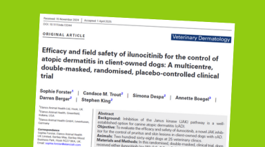 Efficacy and field safety of ilunocitinib for the control ofatopic dermatitis in client-owned dogs: A multicentre, double-masked, randomised, placebo-controlled clinical trial