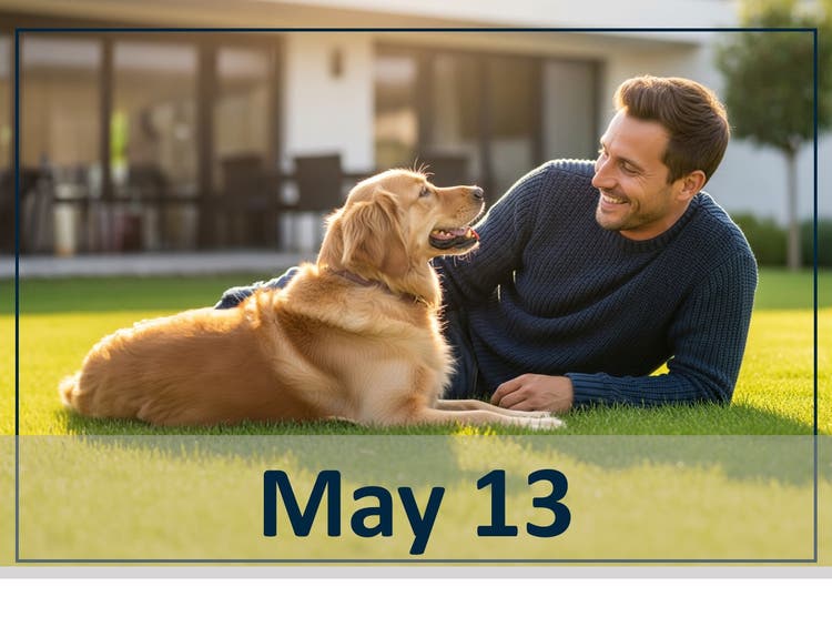 The Silent Sufferers: Practical Strategies for Managing Chronic Pain in Geriatric Dogs webinar header