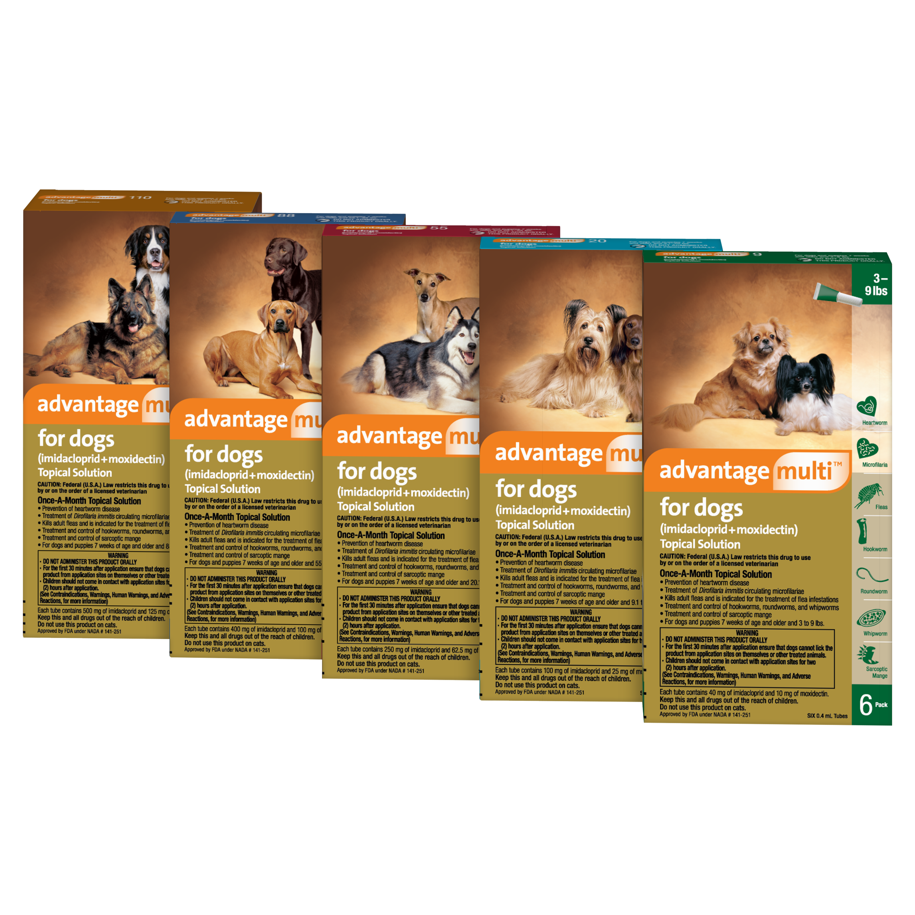 natural cure for ringworm in cats