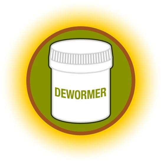 Flubenvet Backyard - Use an effective dewormer