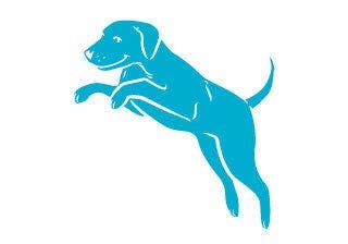 Dog Graphic