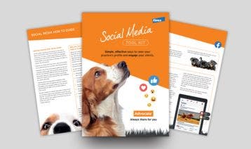 Social Media Guide