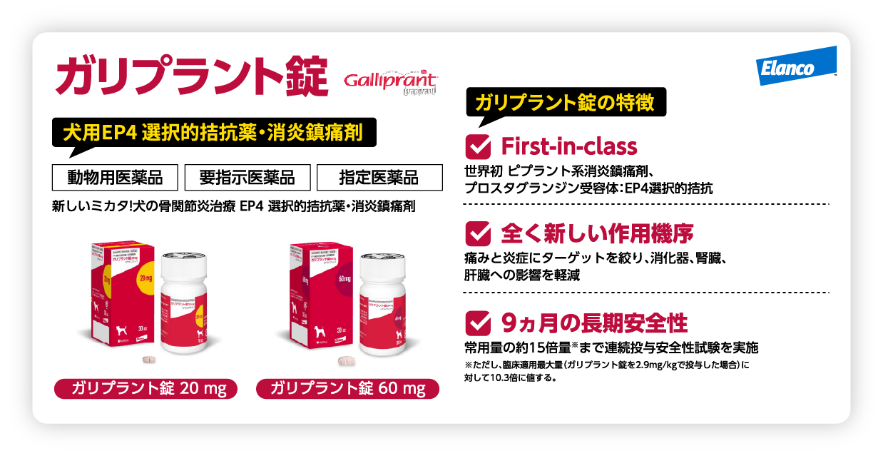 ガリプラント錠