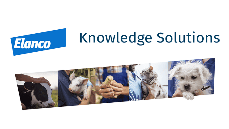 Knowledge solutions Elanco