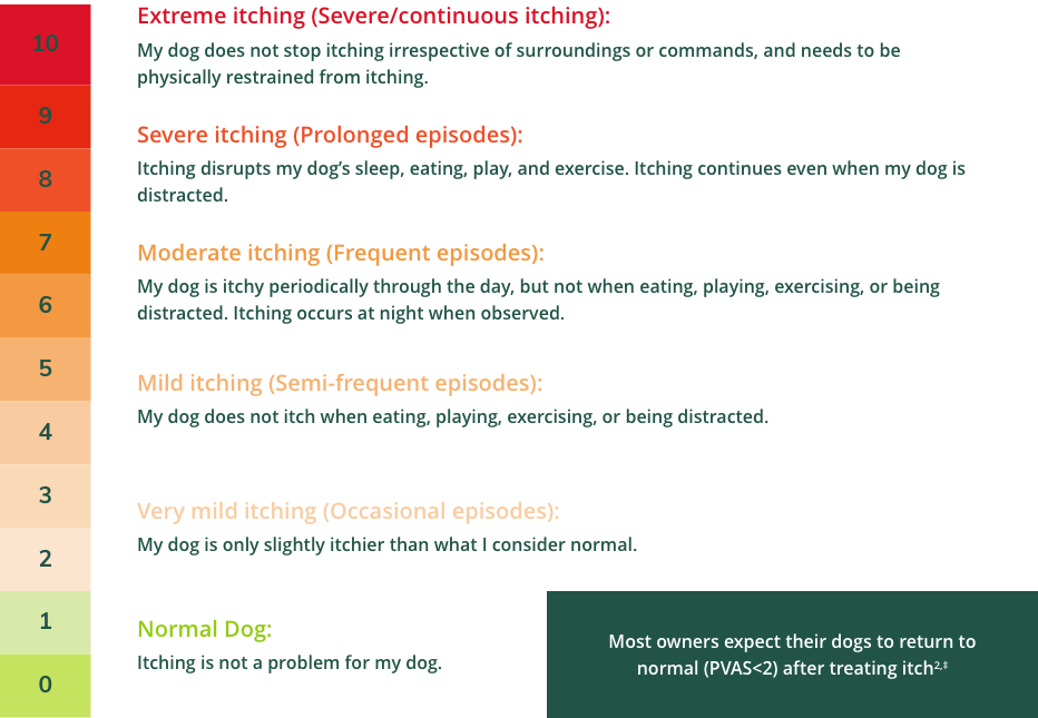 PVAS analogue scale for measuring the level of itch in dogs