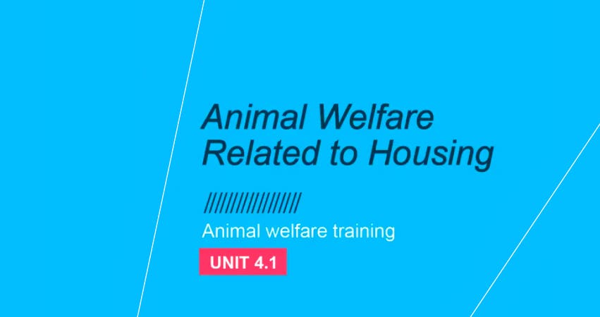 Bem-estar animal e Alimentação: Unidade 4.1