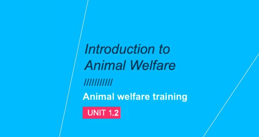 Introdução ao bem-estar animal: Unidade 1.2