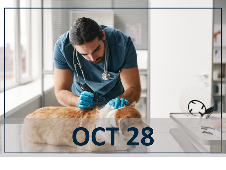 Cutting Risk Short: Speed of Tick Kill as a Tool for Canine Tick-Borne Disease Control header image oct 28