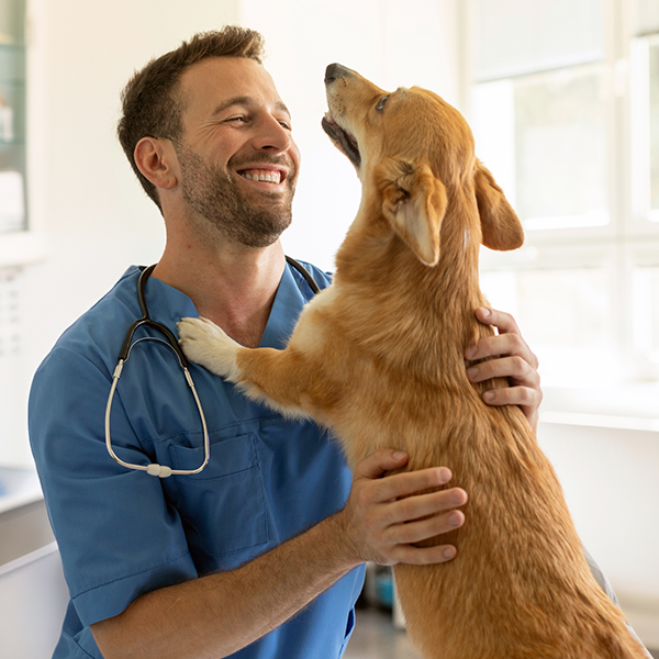 Circular photo of a male veterinarian in blue scrubs smiling and hugging a medium-sized brown dog (Corgi-mix) that is standing on its hind legs.
