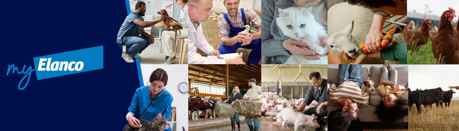 MyElanco banner with logo and pictures of a vet treating a dog, a vet treating a cat, a sheep, a woman feeding cows, a person holding a cat, a woman with a dog, a vet with cows, a family on a sofa with a dog and children with a herd of cows.