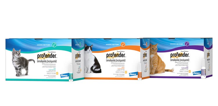Three weight-coded boxes of Profender for cats. The teal, orange, and purple packaging features different cat breeds.