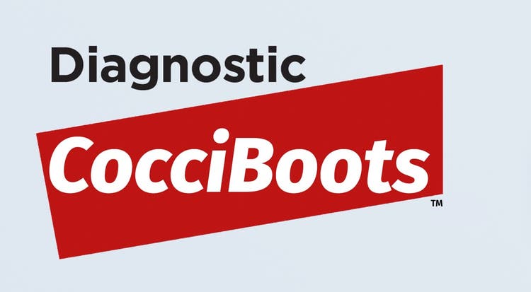 Cocciboots