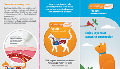 Advantage Multi Cat consumer brochure graphic featuring an orange cat and details on Advantage Multi for cats' multi-layer parasite protection.