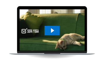 Credelio Cat Video For Pet Owners