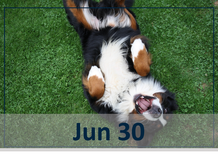 JAK of All Trades Mastering Your Dermatology Consult June 30 header image