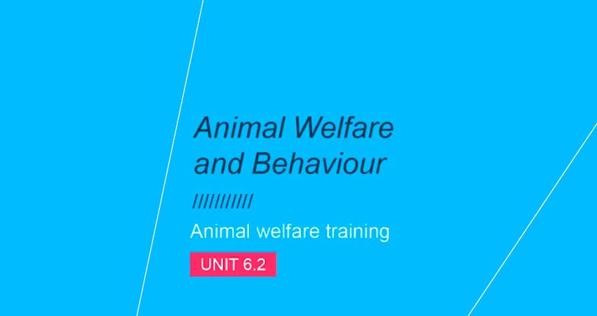 Bem-estar animal e Comportamento: Unidade 6.2