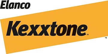 Kexxtone logo