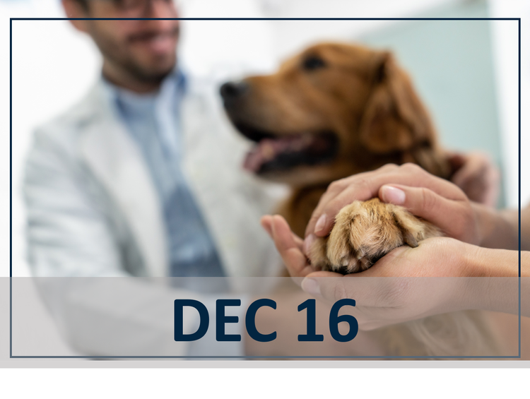 From People to Paws: Translating JAK Inhibition into Canine Relief