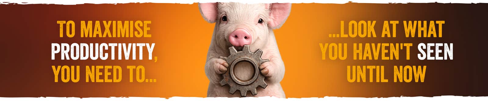 Hemicell Pig sustainability banner with a pig holding a cog