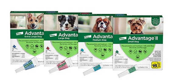Four color-coded boxes of Advantage II for dogs, ranging from 'Small Dog' to 'Extra Large Dog'. The packaging shows the matching topical applicator tubes.