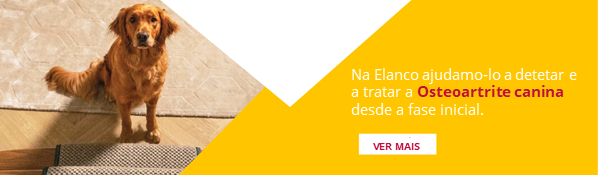 Banner Especialistas em Osteoartrite