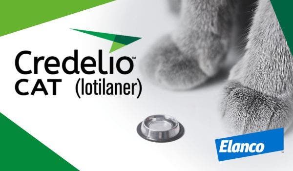 Credelio Cat Thumbnail Image