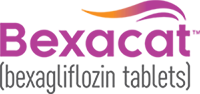 Elanco Bexacat (bexagliflozin tablets) logo featuring 'Bexacat' in purple text below an orange and purple wave icon. Bexacat is the first oral SGLT2 inhibitor used to improve glycemic control in cats with diabetes mellitus.