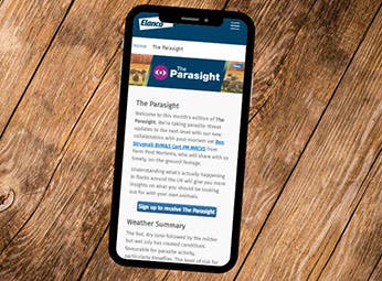 Mobile phone showing The Parasight