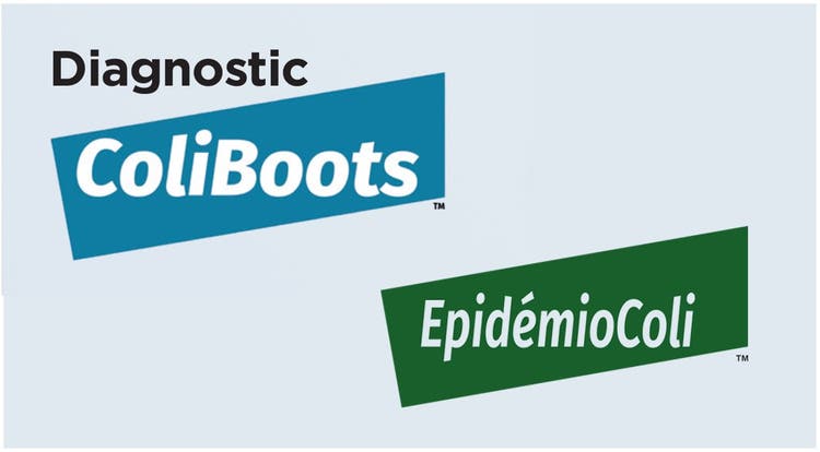 Coliboots EpidemioColi 