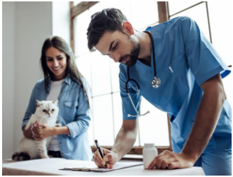 Vétérinaire avec chat.