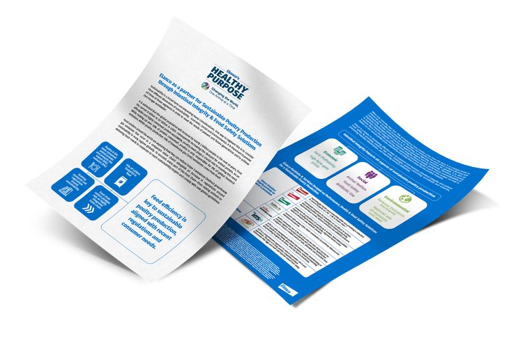 LCA leaflet thumbnail