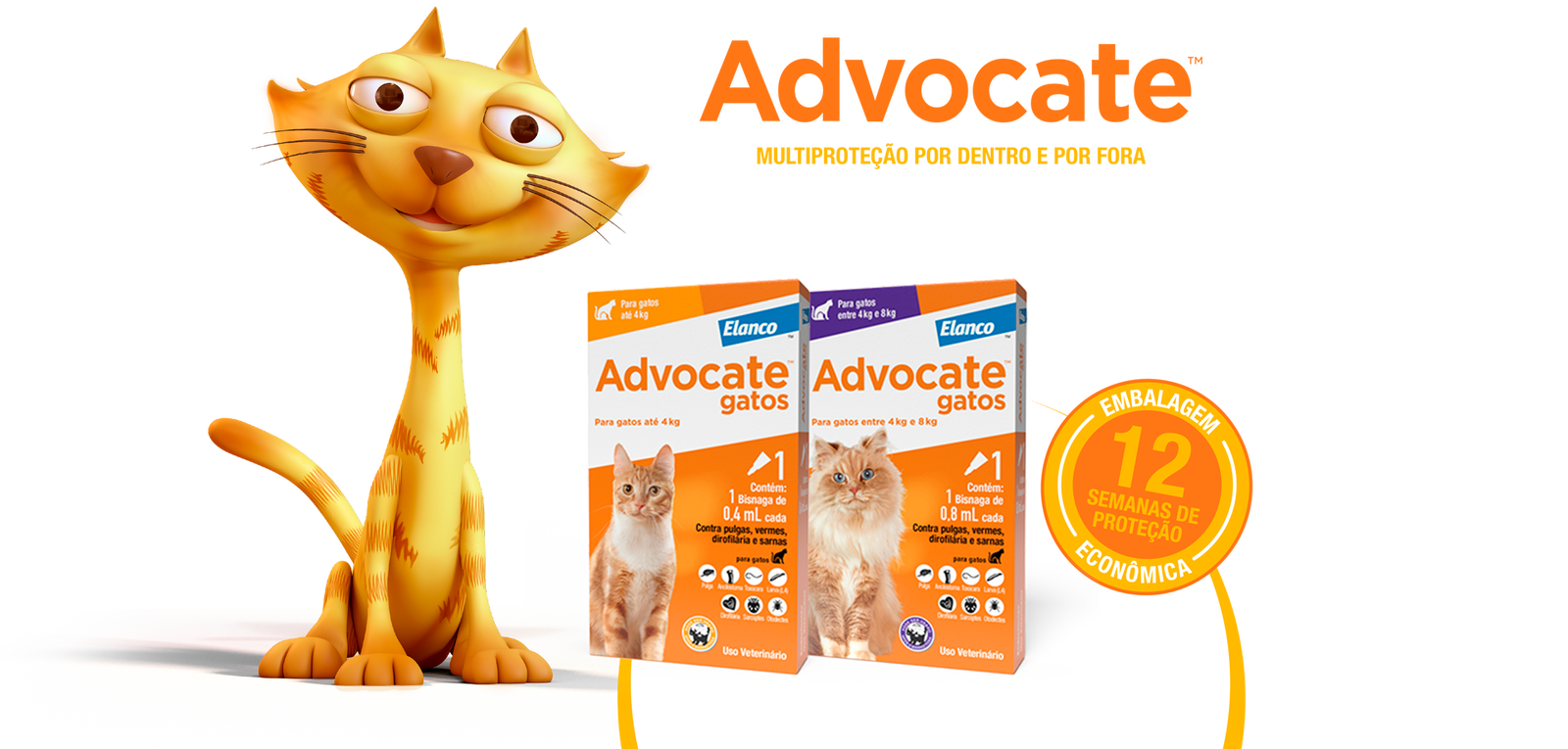 Embalagens Advocate Gatos Personagens