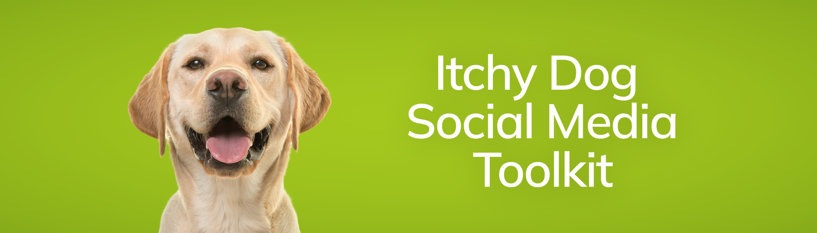 Itchy dog social media toolkit banner with a yellow labrador