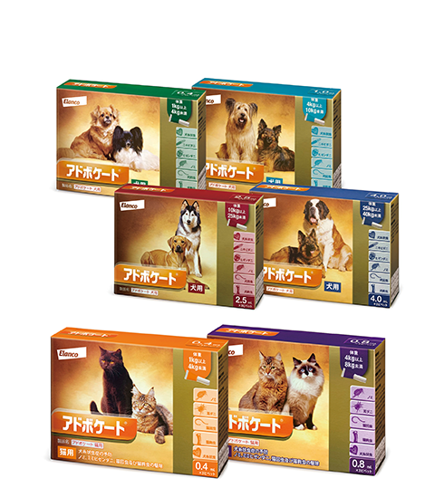 オンシオール,小型犬,非ステロイド,消炎,鎮痛剤