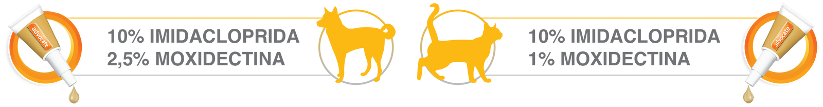 Advocate agindo em cães e gatos