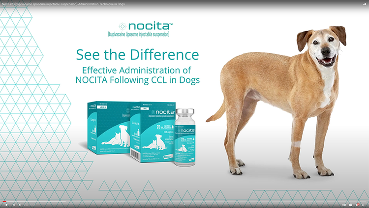 Video thumbnail for effective administration of Nocita.