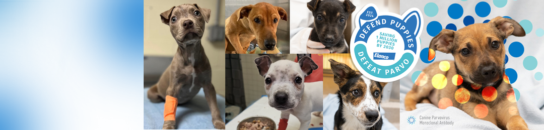 Defend Puppies. Defeat Parvo.