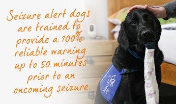 Seizure alert dogs