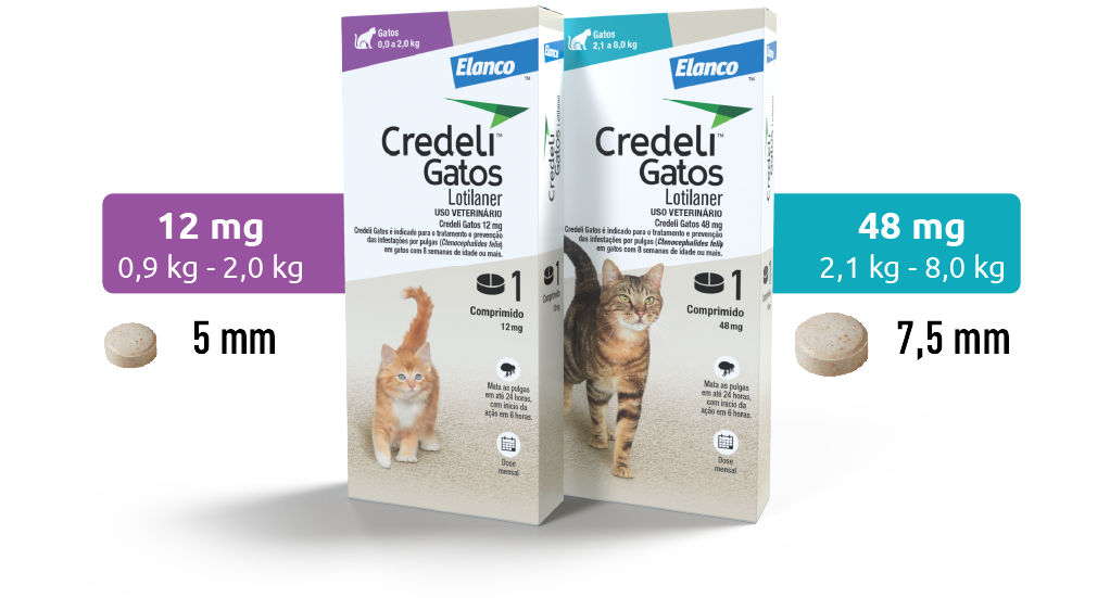 Credeli Gatos embalagens