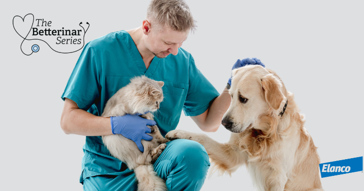 Male Vet with Cat and Dog