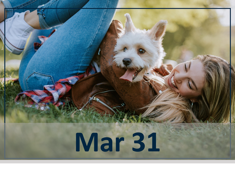 March 31 webinar: Managing the Atopic Dog: Clinical Insights for Every Practitioner