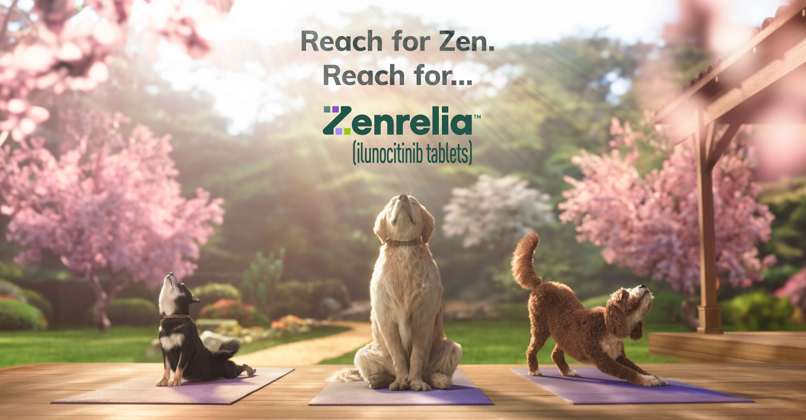 Reach for Zen. Reach for Zenrelia.