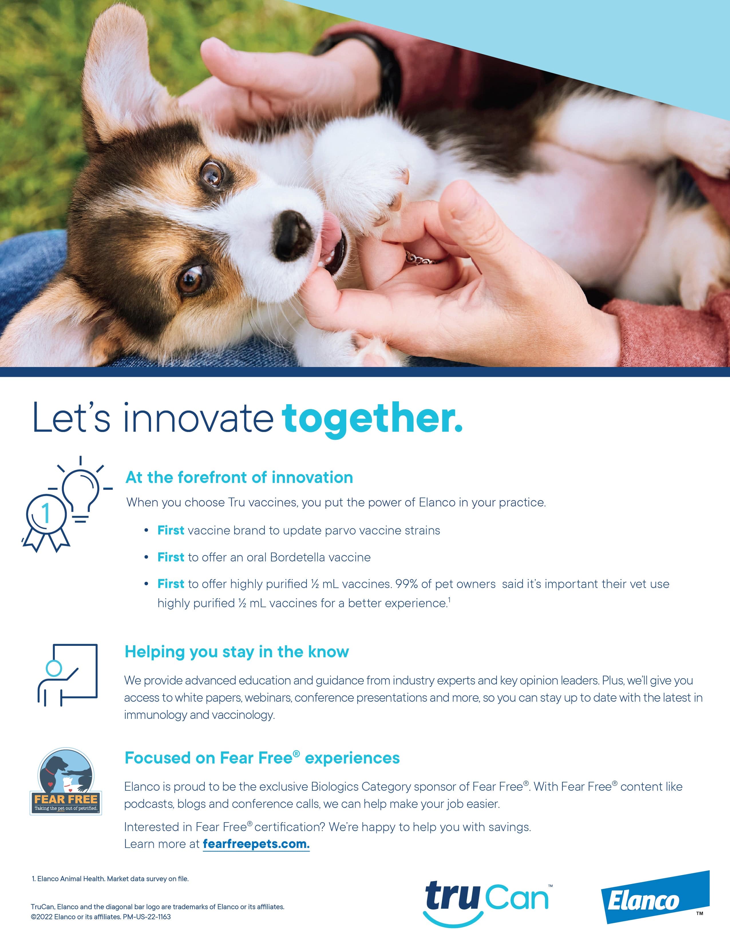  Experience the Future of Pet Care with Hi Tech Pet: Innovative Solutions for Modern Pet Owners